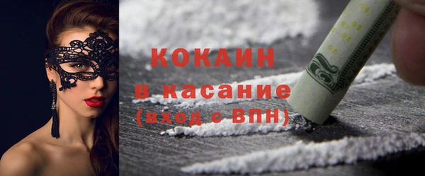 шишки Верея