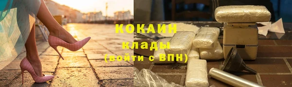 шишки Верея