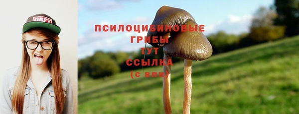 прущий лед Бородино
