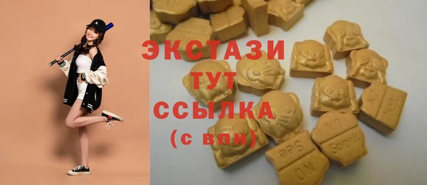 шишки Верея