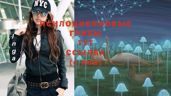 бошки Верхнеуральск