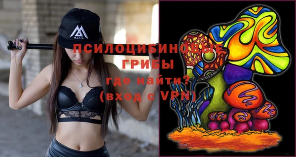 шишки Верея