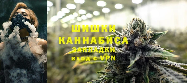 шишки Верея