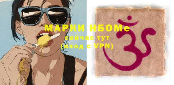 шишки Верея