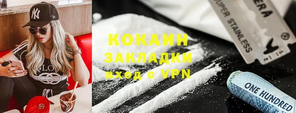 шишки Верея