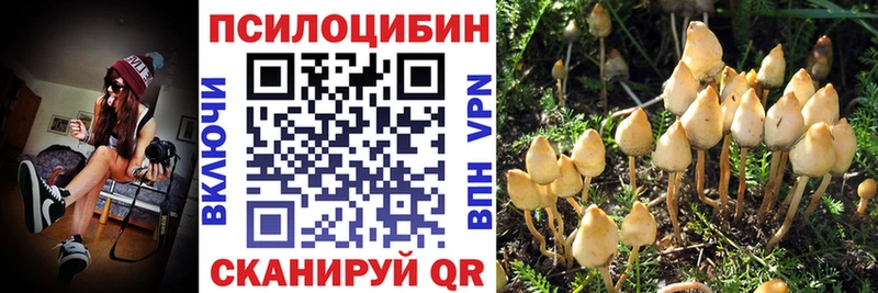 это формула  Невьянск  Псилоцибиновые грибы MAGIC MUSHROOMS  hydra tor 